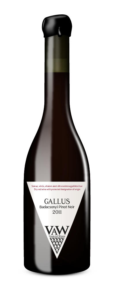 GALLUS